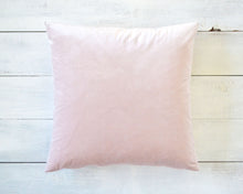 Blush Velvet Pillow Cover